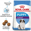 Giant Puppy
